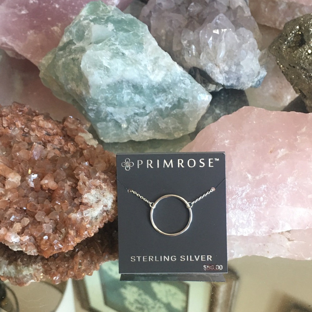 Primrose Sterling Silver Circle Necklace